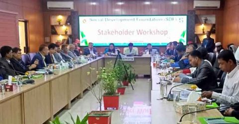 গ্রামীণ দরিদ্র ও অতিদরিদ্র জনগোষ্ঠীর আর্থ-সামাজিক উন্নয়নে কিশোরগঞ্জে এসডিএফ এর কর্মশালা